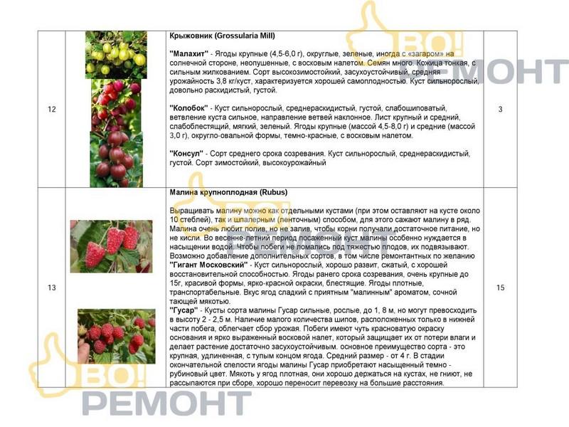 Проект благоустройства территории-102